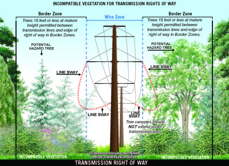 Compatible Vegetation for Transmission Rights of Way